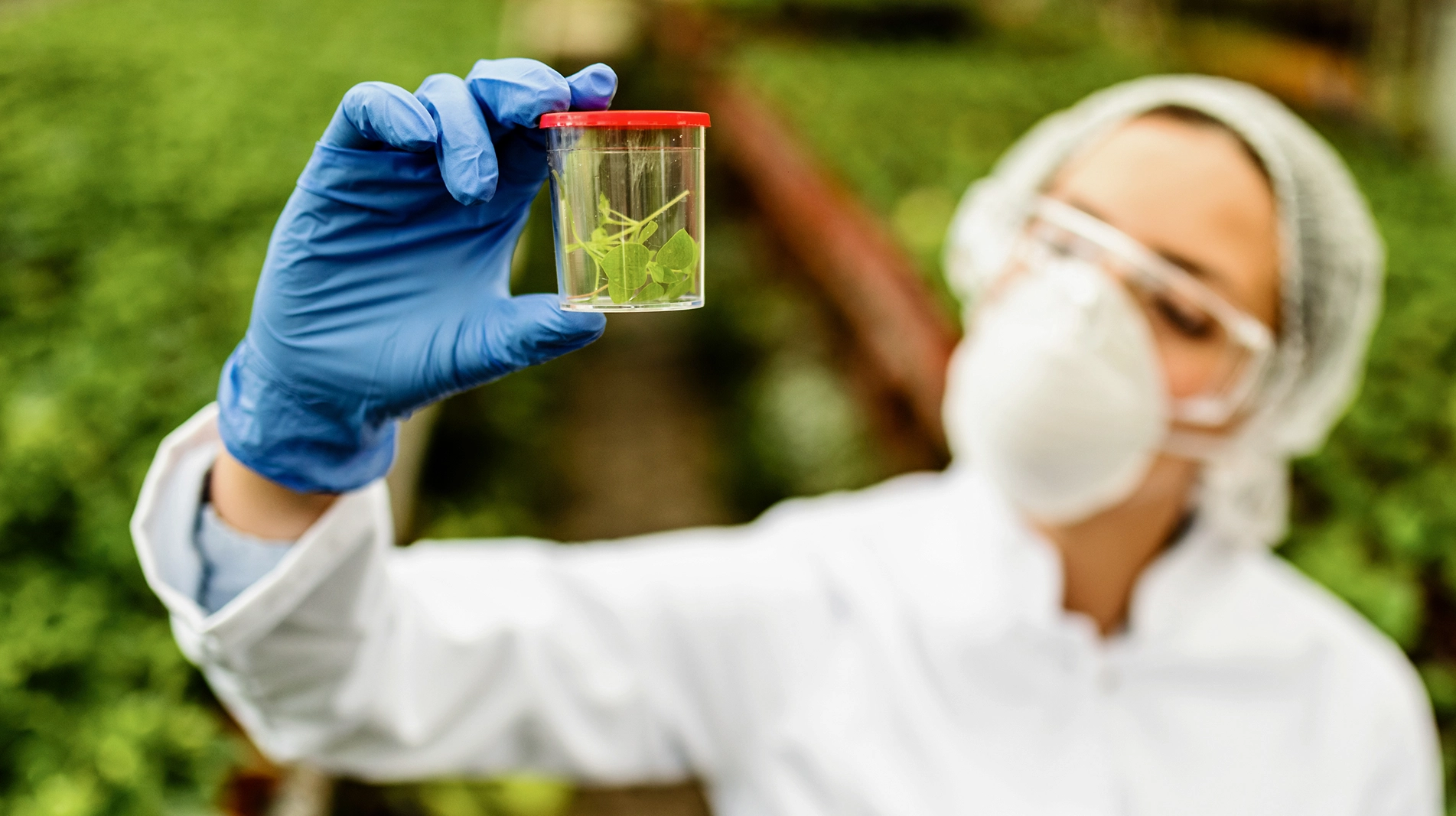 Advanced Pesticide Residue Analysis & Compliance Testing 1