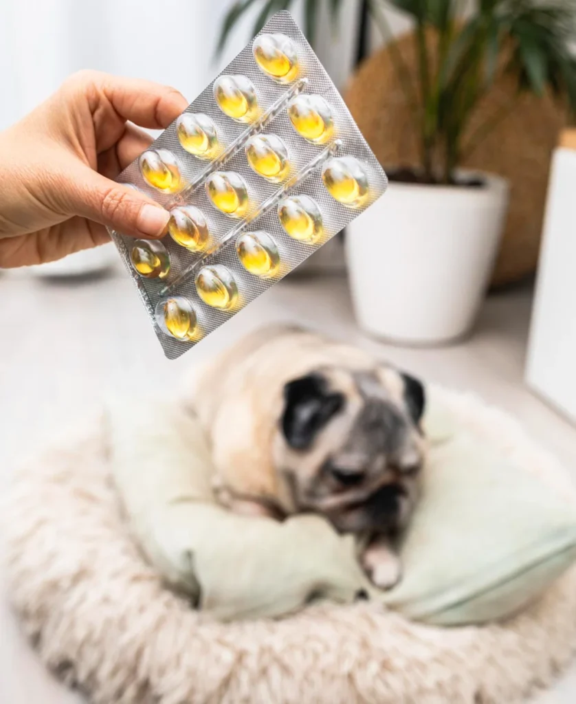 Animal Nutrition Supplements