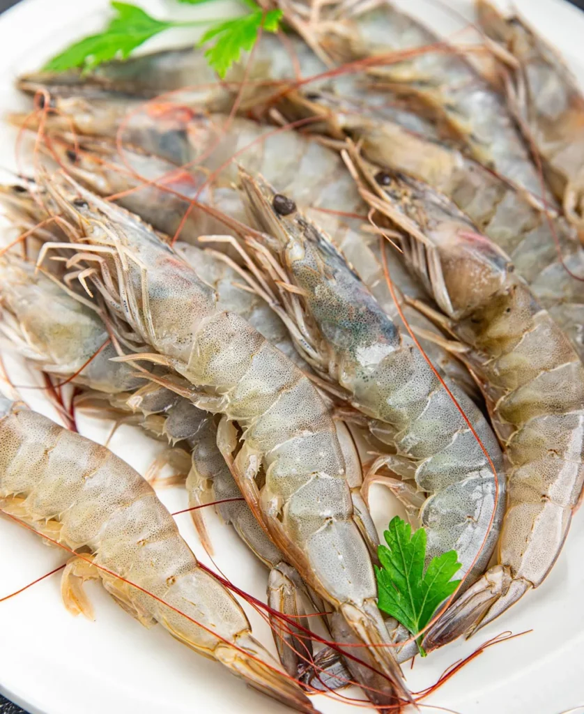 Prawn & Prawn Products