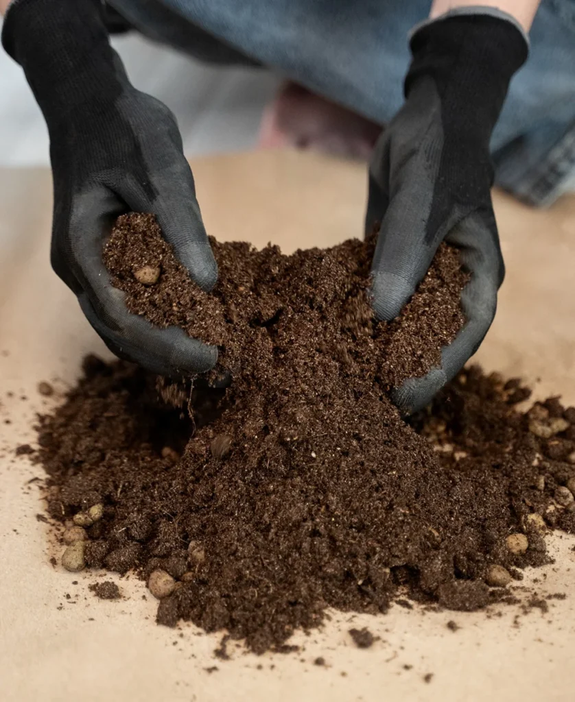 Soil